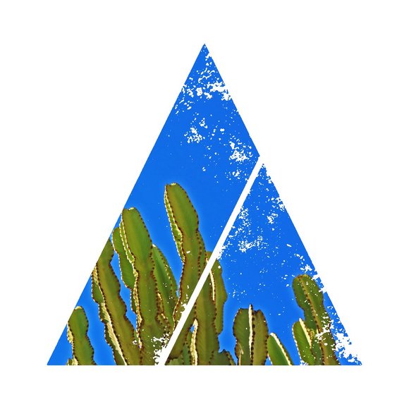 Unframed 12x16 minimalist succulent art print - Picture 4 of 4